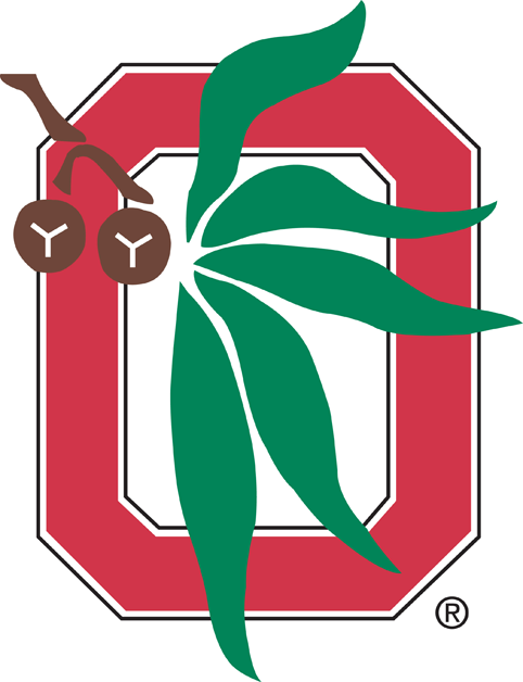 Ohio State Buckeyes 1968-Pres Alternate Logo v3 diy iron on heat transfer